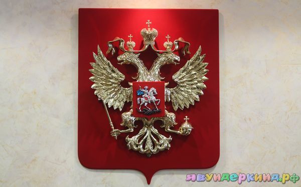 Чему научат дети?